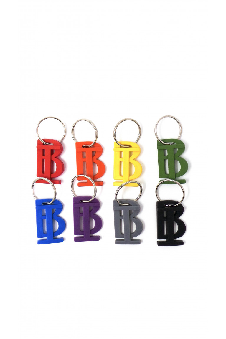 BI Key Chain